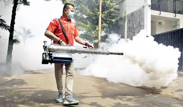 Fogging Nasional