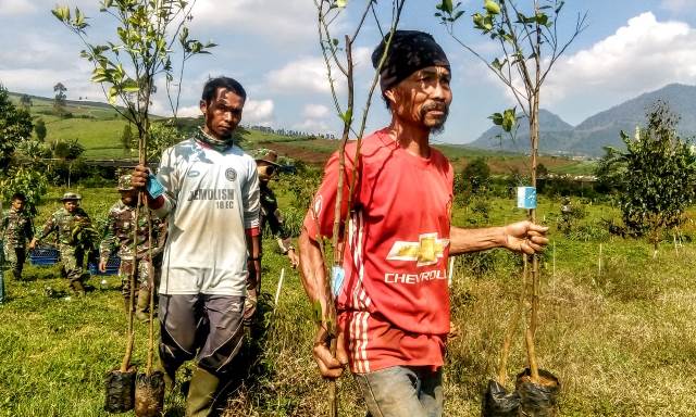 Lahan Kritis Citarum Jadi Sentra Buah Buahan Lahan Kritis Citarum Jadi Sentra Buah Buahan