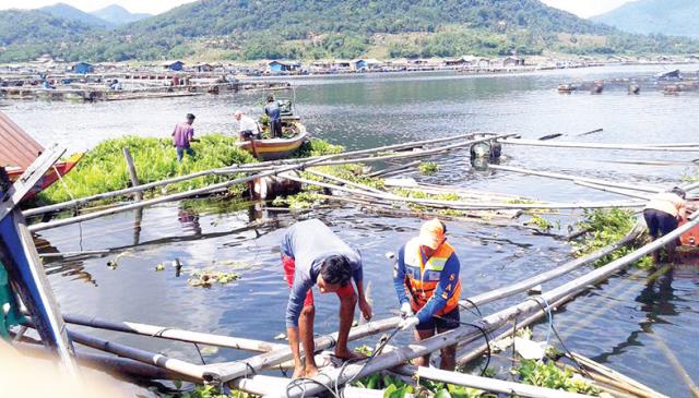 Jaring Apung Waduk Mulai Ditertibkan Jaring Apung Waduk Mulai Ditertibkan