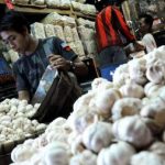 Harga Bawang Putih Mulai Mengalami Penurunan