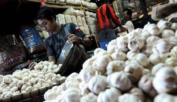 Harga Bawang Putih Mulai Mengalami Penurunan