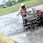 Asuransi Pertanian Direspons Positif