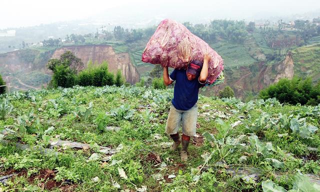 Harga Sayuran dan Daging Mulai Merangkak Naik