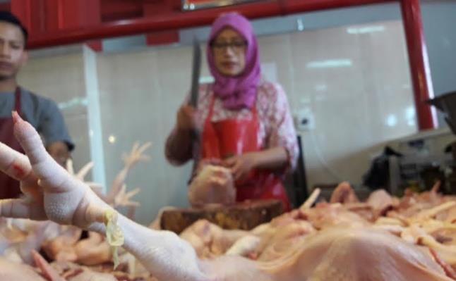 Jelang Ramadan, Harga Ayam Potong Tembus Rp 40 Ribu Per Kilo