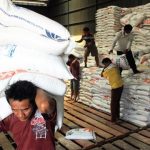 Kemarau Ancam Produksi Pangan