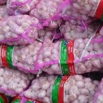 Jangan Ada "Main Mata" Impor Bawang Putih