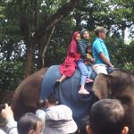 Kebun Binatang Bandung Diserbu Puluhan Ribu Wisatawan