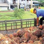 Tak Perlu Impor Minyak Mentah Lagi