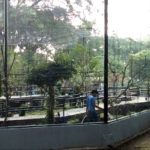 Bandung Zoo Siapkan Wahana Baru untuk Pengunjung