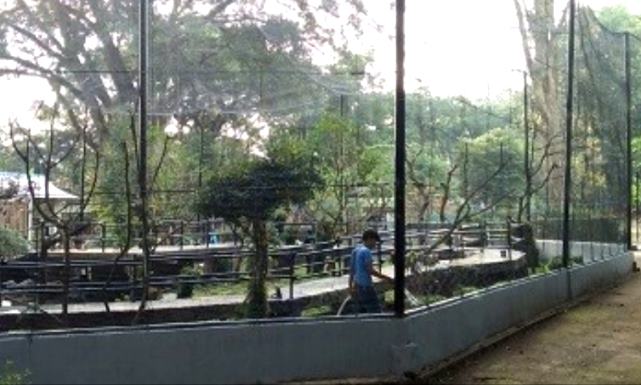 Bandung Zoo Siapkan Wahana Baru untuk Pengunjung