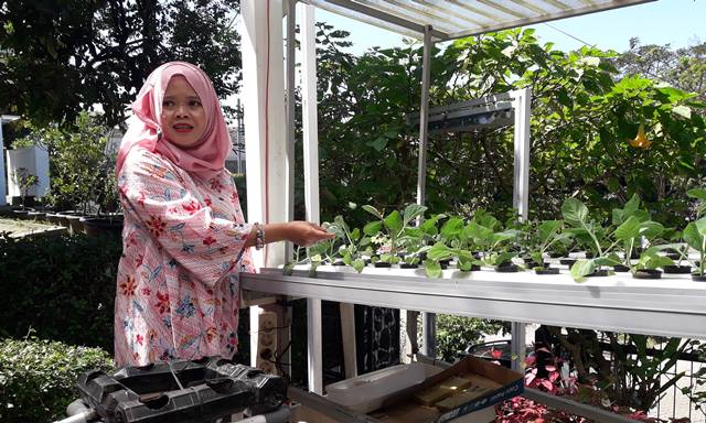 Tanaman Hidroponik terus dikembangkan oleh Dipangtan Kota Cimahi melalui Kelompok Wanita Tani (KWT).