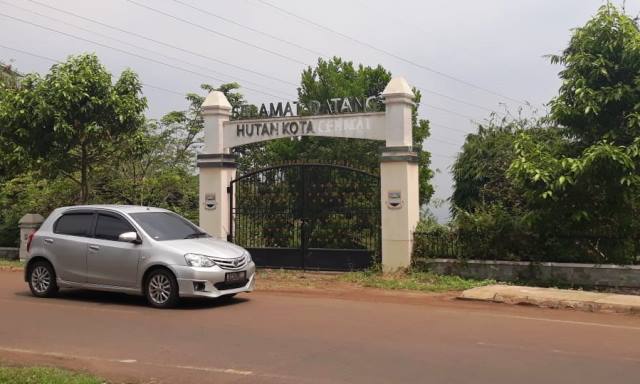 Dewan Sebut Hutan Kota Seperti "Modus Proyek"