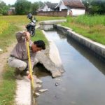 Lahan Pertanian di Kabupaten Bandung Mulai Kekeringan