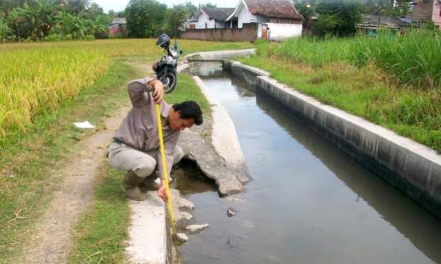 Lahan Pertanian di Kabupaten Bandung Mulai Kekeringan