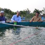 Bioflok Tingkatkan Produktivitas Nila