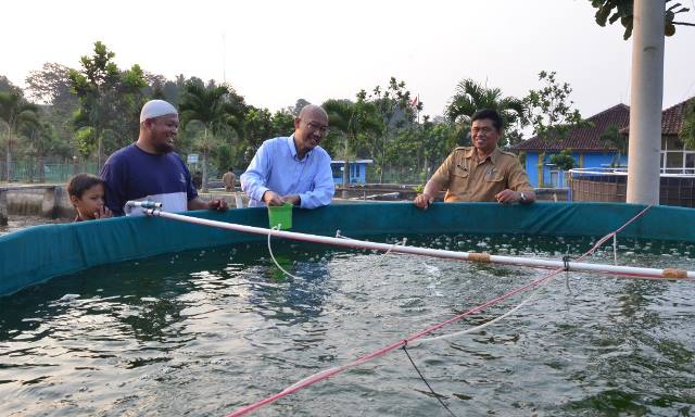 Bioflok Tingkatkan Produktivitas Nila