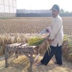 Terdampak Kekeringan, Sekda Imbau Camat Siap Siaga Kemarau