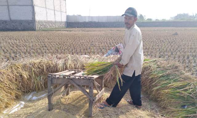 Terdampak Kekeringan, Sekda Imbau Camat Siap Siaga Kemarau