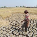 Sawah Terdampak Kemarau di Jabar Diprediksi Makin Meluas