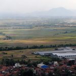 Segitiga Rebana Gerus Lahan Pertanian?