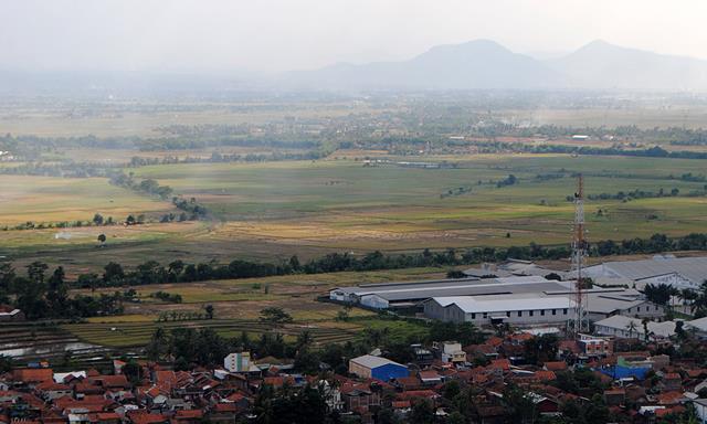Segitiga Rebana Gerus Lahan Pertanian?