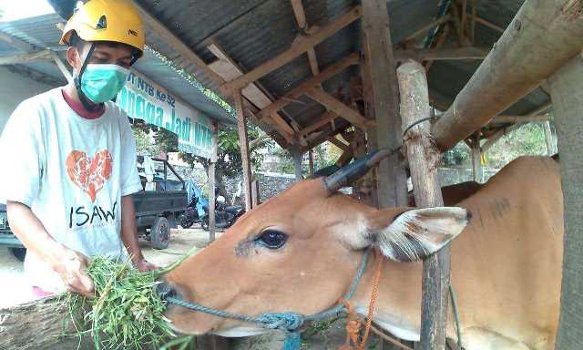 Integrasikan Wisata dengan Peternakan