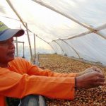 Usaha Kopi Kabupaten Bandung Melejit