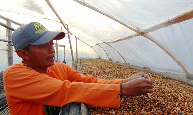 Usaha Kopi Kabupaten Bandung Melejit