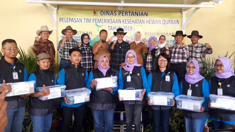 Pemkab Lepas 150 Petugas Pemeriksa Kesehatan Hewan kurban