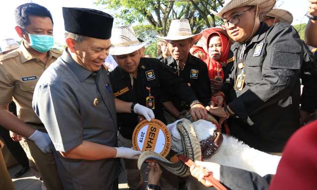 Terjunkan 100 Petugas untuk Jaga Keamanan Hewan Kurban Terjunkan 100 Petugas untuk Jaga Keamanan Hewan Kurban