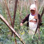 Kemarau Membuat Harga Sayuran di Cimahi Meroket