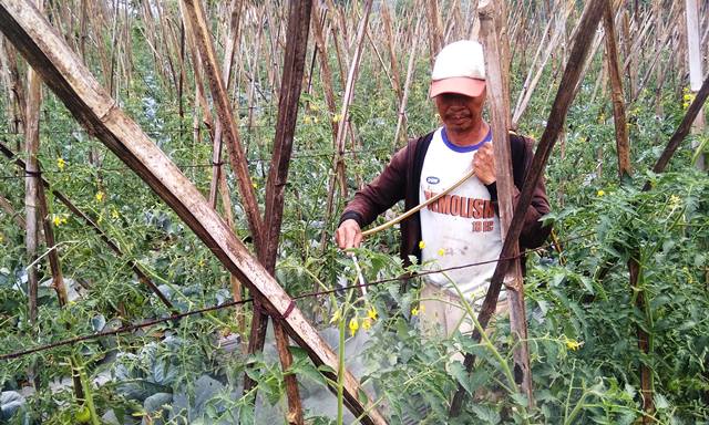 Kemarau Membuat Harga Sayuran di Cimahi Meroket