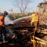 Peternakan Ayam di Cikalongwetan Ludes Terbakar