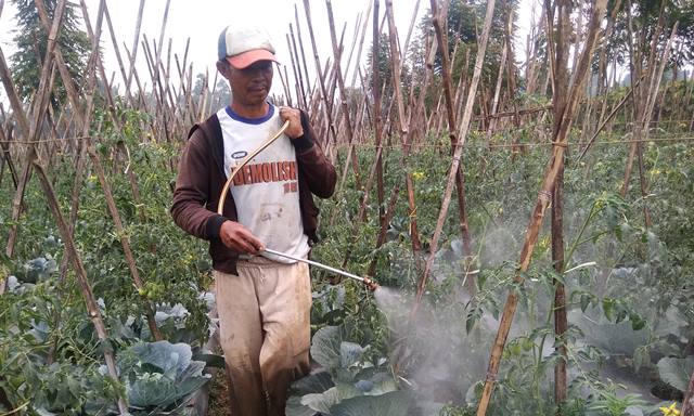 Hasil Panen Menurun, Biaya Tanam Meningkat