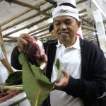 Daun Jati Jadi Alternatif Terbaik Pembungkus Daging Kurban