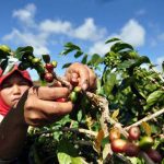 Pemkab Dorong Potensi Produk UKM