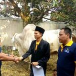 Masjid Agung TSB Sembelih 12 Ekor Hewan Kurban