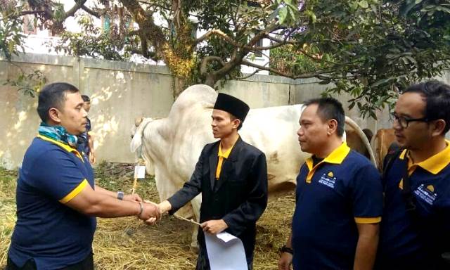 Masjid Agung TSB Sembelih 12 Ekor Hewan Kurban