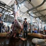 Aktivitas di RPH Naik 5 Persen