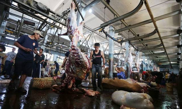 Aktivitas di RPH Naik 5 Persen