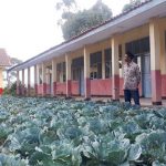 SDN Cisabuk Jadi Kebun Kol