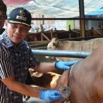 Ajay Minta Pedagang Hewan Kurban Tak Berjualan di Fasos-Fasum