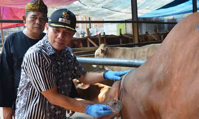 Ajay Minta Pedagang Hewan Kurban Tak Berjualan di Fasos-Fasum