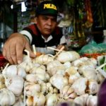 KPK Harus Usut Program RIPH Bawang Putih Kementan