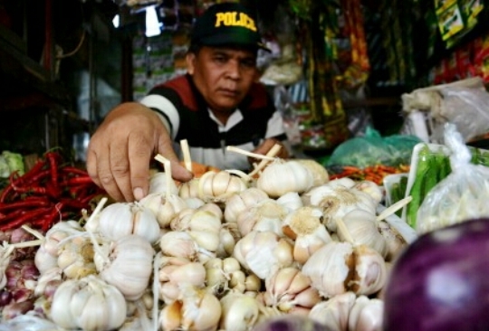KPK Harus Usut Program RIPH Bawang Putih Kementan
