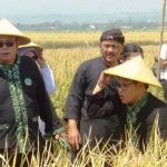 DOB Menjadi Kebutuhan Mendesak