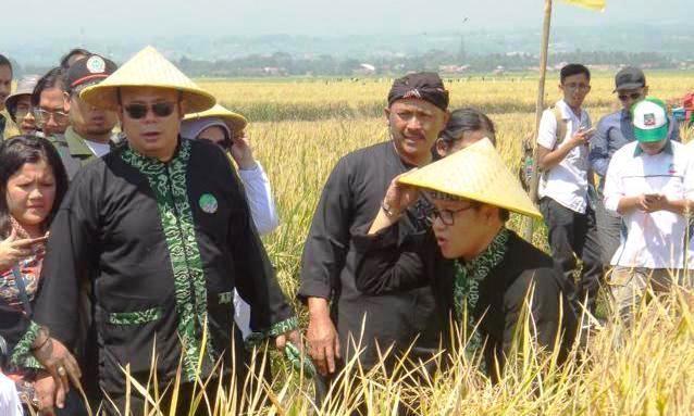 DOB Menjadi Kebutuhan Mendesak