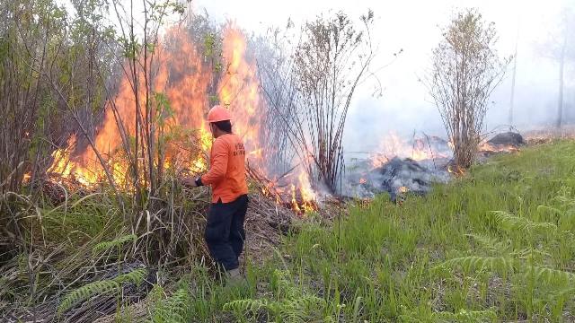 Puluhan Pendaki Terjebak
