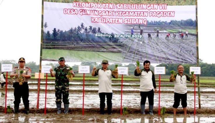 Musim Kemarau Stok Pangan Aman