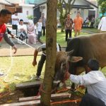 Pelaksanaan Kurban di Rumah Dinas Gubernur Jabar